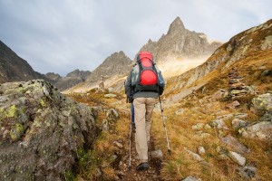 best trekking poles
