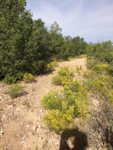 grandview trail high rolls nm
