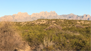 Organ Mountains in Las Cruces