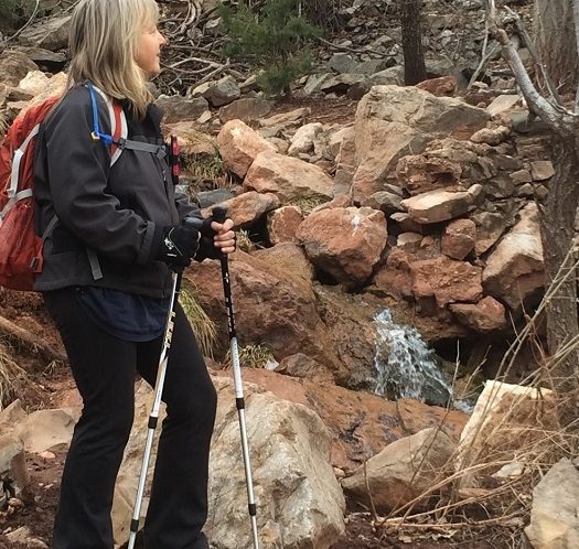 health benefits of trekking or hiking poles