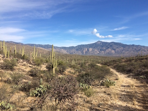 This is what the Arizona Trail looks like near Tucson until you dig in amongst the hills...