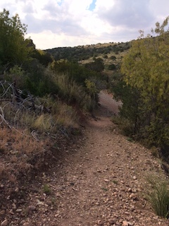 hiking-trail