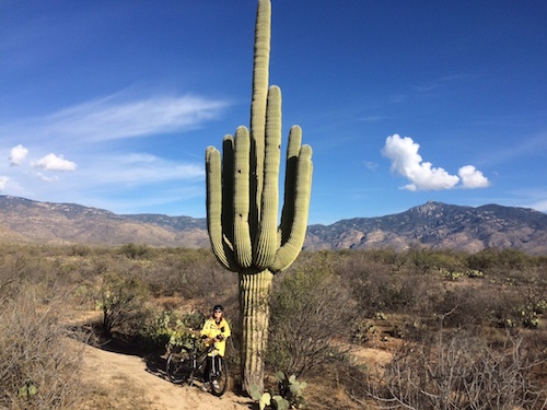 These cactus don't get their first 'arm' until they're 75 to 100 years old.....