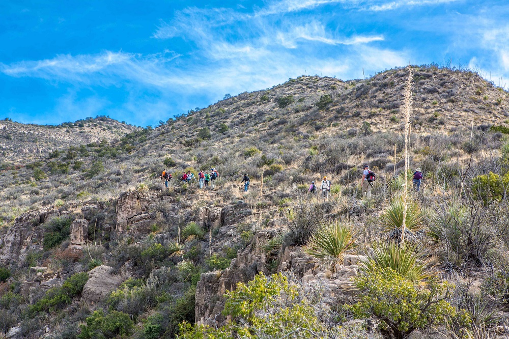 ortega-peak-north-1000