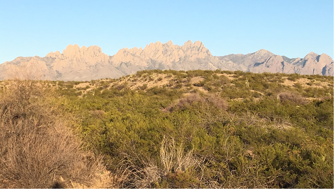 The foothills in the Organ Mountains.