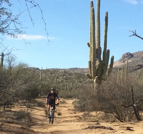 bike riding arizona trail saguaro national park
