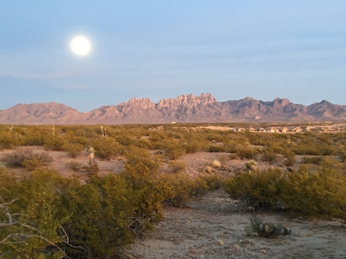 Moon Walk in Las Cruces